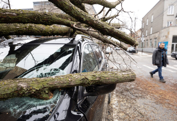 Fallen branches on a car a day after freezing rain and strong winds cut power to more than a million people in Canada's two most populated provinces, in Montreal, Quebec, Canada, April 6, 2023. REUTERS/Christinne Muschi