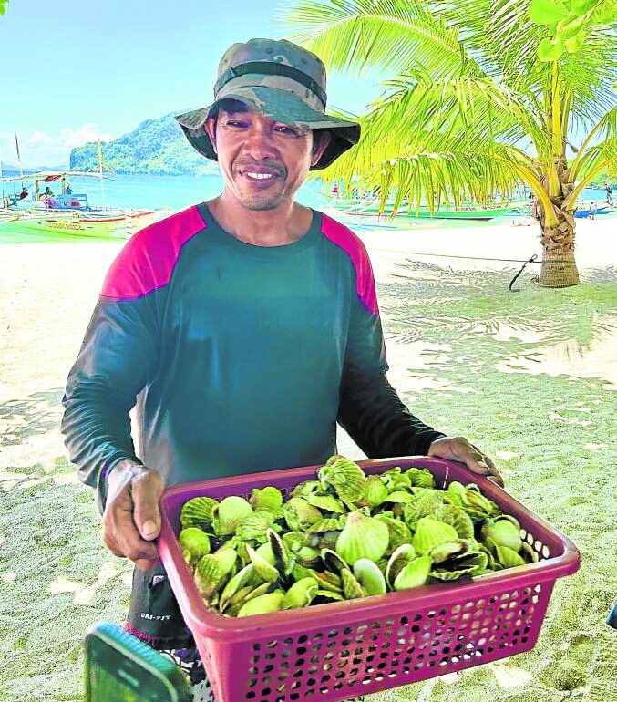 Get fresh scallops for only P400 a basket from the island’s fishermen.