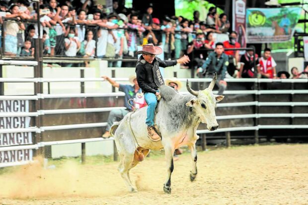 In Masbate City, contestants wearing their best cowboy garb test their skills in bull riding and casting down duringthis year’s Rodeo Masbateño Festival, staged after a three-year pause due to COVID-19 restrictions. STORY: Cowboys (and girls) return to Masbate