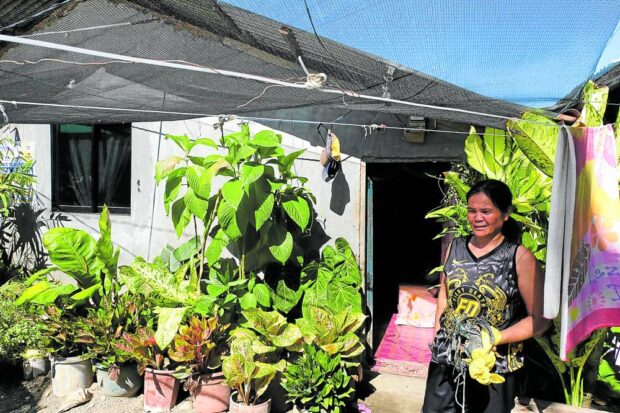 Tobacco farming changes lives in coastal Sarangani