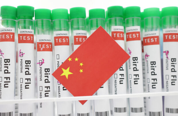Illustration shows test tubes labelled "Bird Flu" and China flag