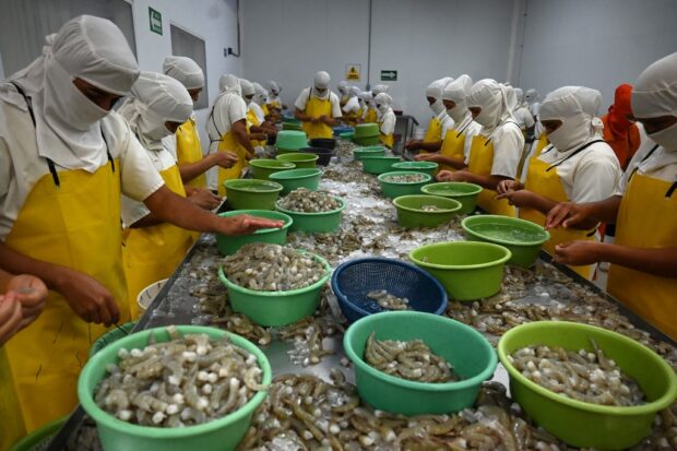 Honduras shrimp industry worried by diplomatic break with Taiwan