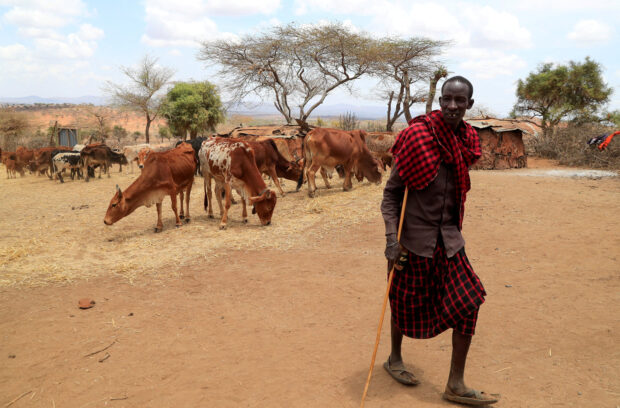 Horn of Africa drought 