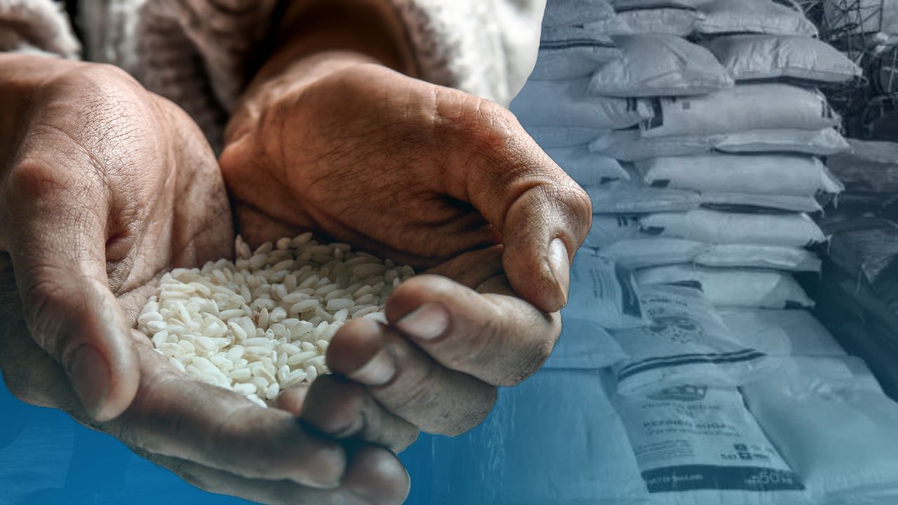 Higher production costs, low gov’t buying price add to rice crisis specter