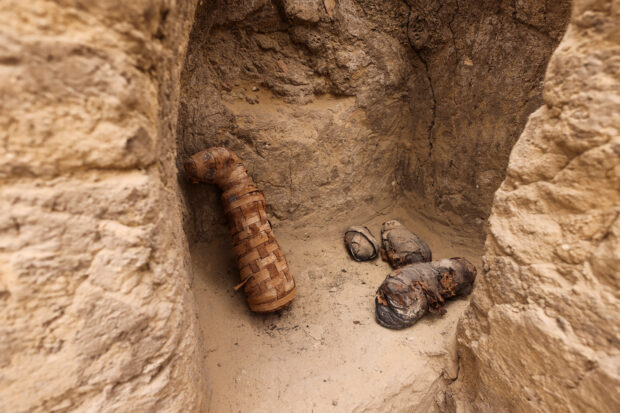 Egypt unearths human and animal mummification workshops as well as two tombs in the ancient burial ground of Saqqara