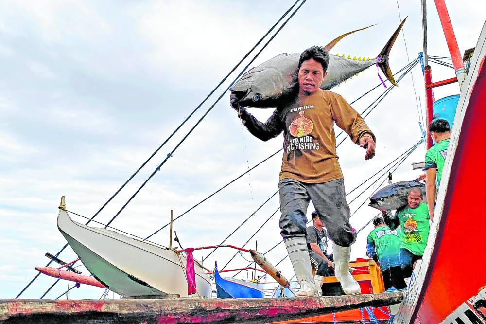 El Niño good for tuna bad for ‘bangus’ BFAR Inquirer News