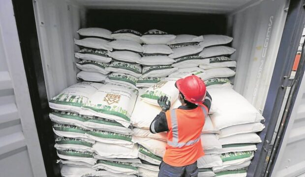 A port worker examines a shipment of contraband sugar seized by the government.
