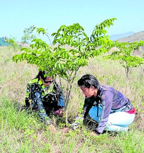 UPKEEP Riders Annaliza Bautista, 41, of Dagupan City, and Donnalyn Carpio, 28, of Binmaley, Pangasinan, volunteer to help in the maintenance of the upland arboretum by removing weeds around narra saplings.