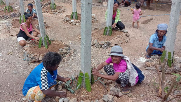 Members of the Ati tribe on Boracay Island try to grow dragon fruit on the land awarded to them by former President Rodrigo Duterte in 2018, in this photo taken on March 20. The land is now the subject of a legal battle between them and property developers. STORY: Ati families on Boracay Island risk losing land given by gov’t