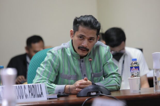 Senator Robin Padilla on Friday called out the “pests” who were accusing lawmakers allied with President Ferdinand Marcos Jr. of pushing for another extension in the availment period of estate tax amnesty to the benefit of the chief executive’s family. 