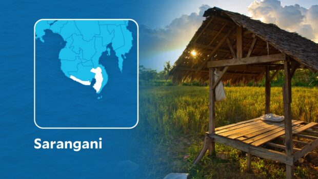 A total of 111 agrarian reform beneficiaries (ARBs) in Sarangani province are now certified and legal owners of lands they have been tilling after the Department of Agrarian Reform (DAR) released on Monday their electronic land titles, officials said.