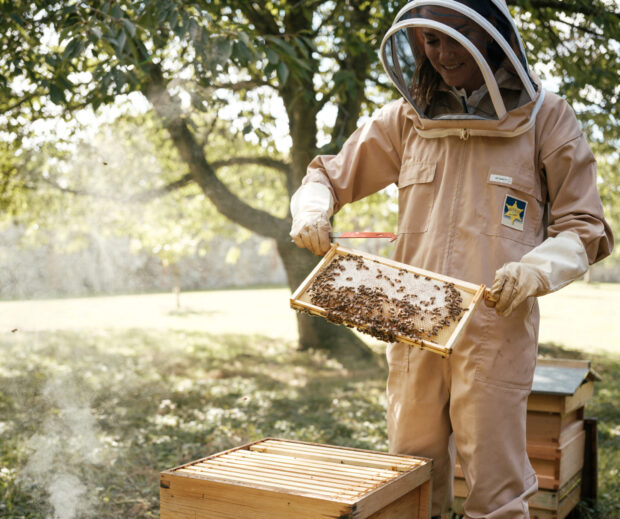 Catherine, The Princess of Wales, in full gear as she tends to a beehive at Anmer Hall in Norfolk, Britain, in celebration of World Bee Day. 
