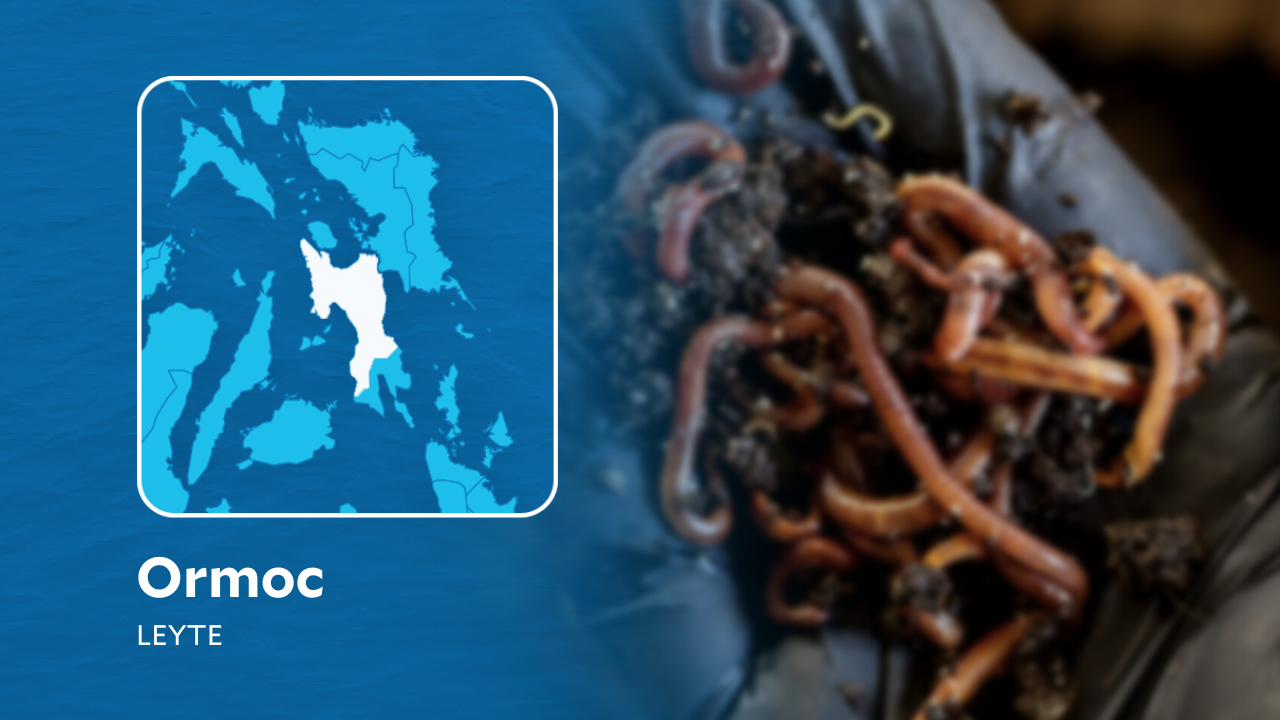DENR Eastern Visayas checks a viral video showing red worms in Ormoc Bay, Leyte