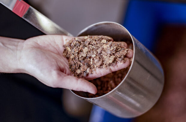 An employee of the company „Circular Carbon“ shows shredded cocoa shells in Hamburg, on May 10, 2023. At a red-brick factory in Hamburg, cocoa bean shells go in one end and out the other comes a black powder with the unusual potential to counter climate change. The process locks in greenhouses gases and the final product can be used as a fertiliser, or as an ingredient in the production of "green" concrete. (Photo by Axel Heimken / AFP) / TO GO WITH AFP STORY by Florian CAZERES