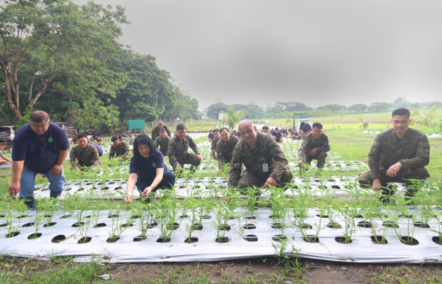 Army, NGO reforestation project to grow food, too