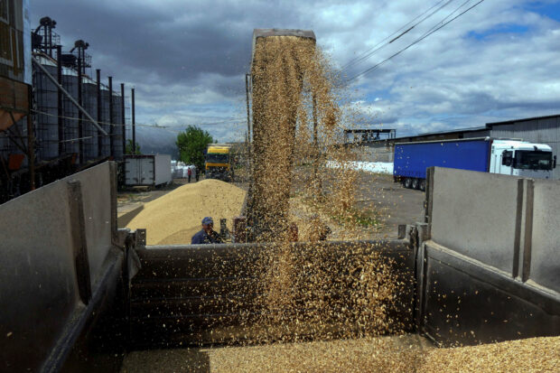 Ukraine 2023 grain harvest