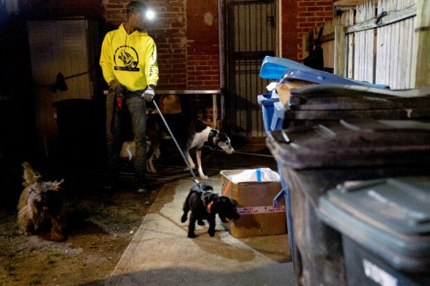 A group of rat hunters, that include cats and dogs, search for rats in the Adams Morgan neighborhood of Washington, DC, on June 3, 2023.