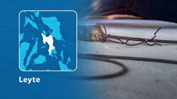 A 6-year-old boy died from electrocution while on his way to school in Leyte town, Leyte on Thursday, June 1.