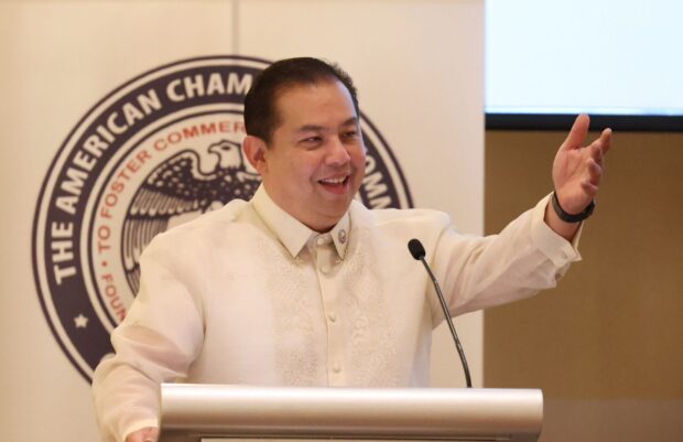 Partnerships and corporations with neighboring countries would sustain and boost the nation’s economic growth, as well as generate more jobs for Filipinos, according to House Speaker Ferdinand Martin Romualdez. 