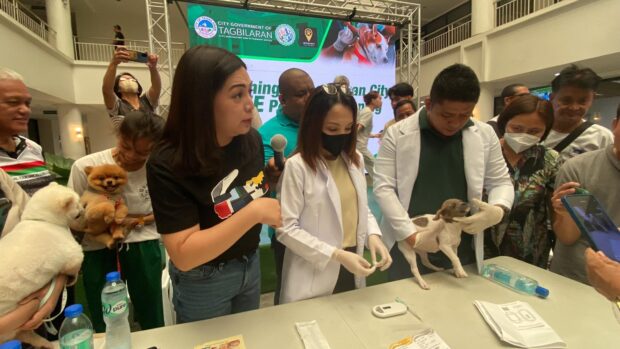 The Tagbilaran City government is offering free microchipping services for pets on Thursday, June 1, 2023. (Leo Udtohan/Inquirer Visayas)