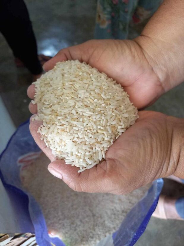 ACT Teachers Rep. France Castro on Tuesday urged the House of Representatives to probe the allegedly inedible rice that the government distributed to teachers. 