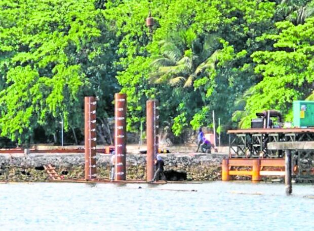 Port project on Samal Island ‘destroyed’ corals.