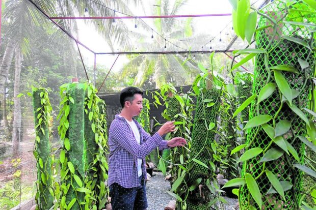 In this bucolic coastal town where swathes of rice, corn, banana, cacao and coconut farms dominate the agricultural landscape, a millennial has taken a great leap of faith by growing vanilla on a commercial scale in this humid region.