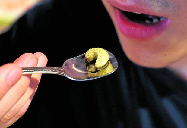 Silkworm sashimi: Bugs back on Japanese menu