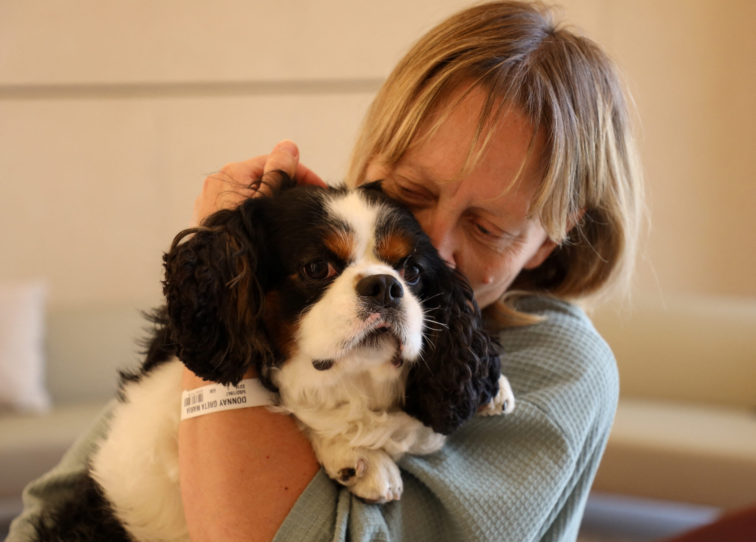 Belgian hospital pioneers pet visits to patients | Inquirer News