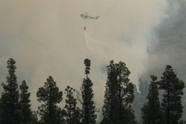 La Palma wildfire