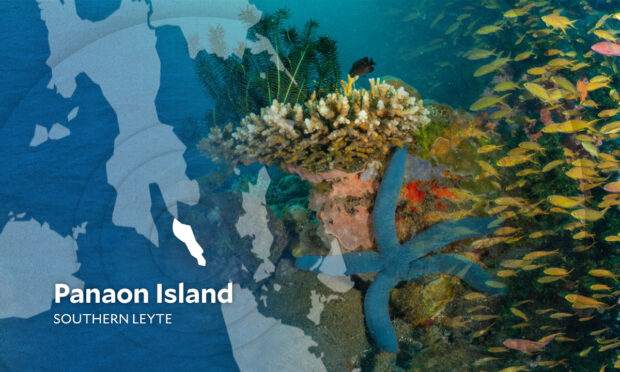 An international organization dedicated to protecting the world’s oceans lauded a bill declaring Panaon Island in Leyte as a protected seascape as it gained ground with the support of more members of the House of Representatives.