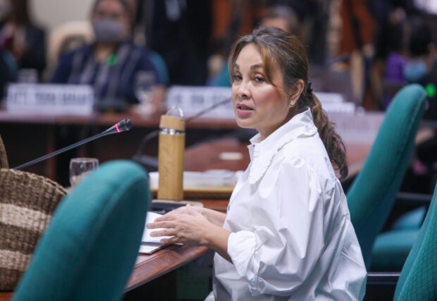 Loren Legarda urges government agencies to be proactive in improving bills on PENCAS and Blue Economy