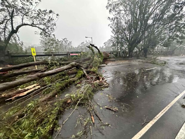 Tyohoon Egay tore through Baguio City and the rest Cordillera region, mowing down trees and triggering landslides. Burnham Park was flooded as early as 6 a.m. on Wednesday, July 26. 