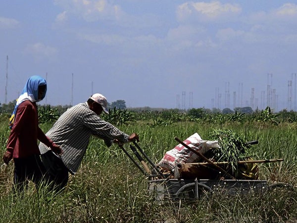 House to use oversight function to help stop agri smuggling