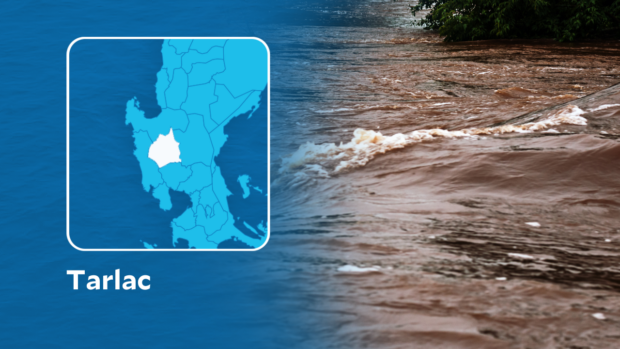 Strong currents caused by Typhoon Egay (international name: Doksuri) and heavy monsoon rains damaged a portion of Camiling River's slope protection in Tarlac on Friday (July 28), the Department of Public Works and Highways Regional Office 3 (DPWH RO3) reported Saturday (July 29).