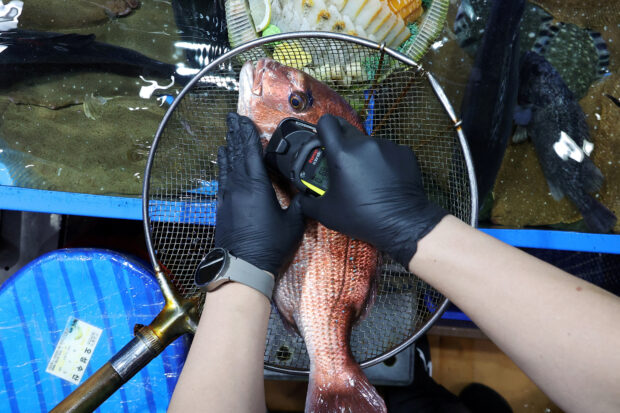 widespread ban of Japanese sea products