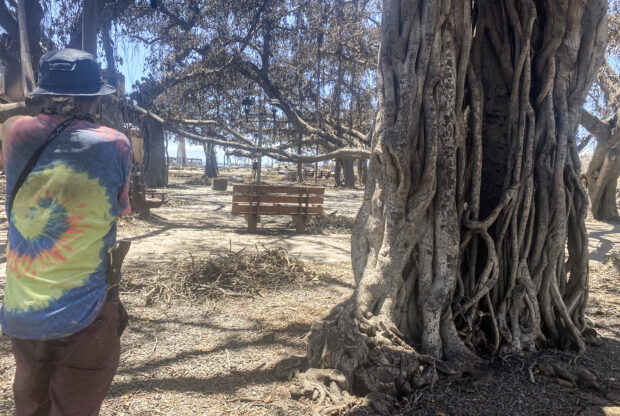 For three days since a hurricane-fueled wildfire tore through his town, Anthony Garcia has swept a square normally packed with tourists, but now filled with charred debris and the scorched remains of animals, trying to make sense of a catastrophe that came from nowhere.