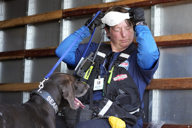 A member of a search-and-rescue team and her cadaver dog cool off near Front Street in Lahaina