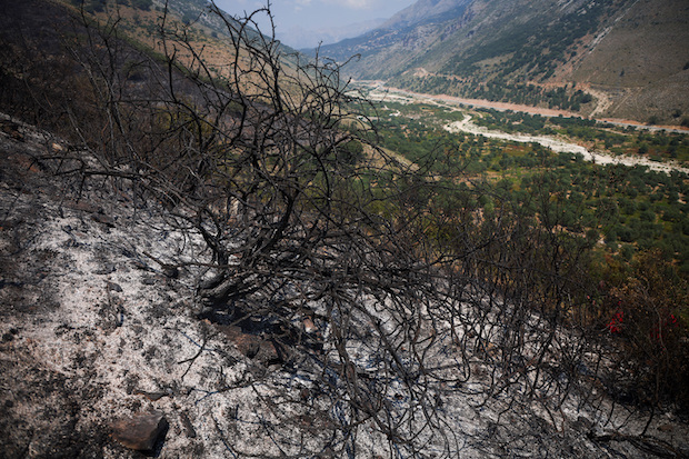 Wildfires in Albania