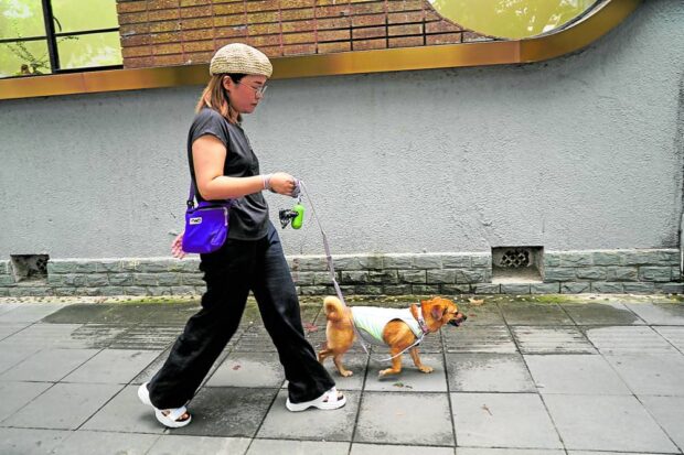 As temperatures in China soar, pet owners are looking for novel ways to protect their four-legged friends from the heat, buying up cooling mats, clothes and miniature sun hats for dogs and cats.