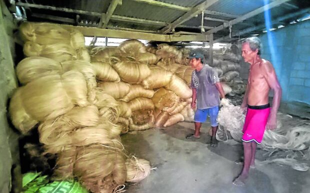 Abaca farmers in Catanduanes affected by price drop get aid