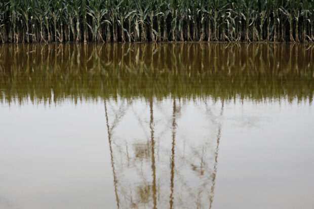 China warns floods could aggravate crop diseases