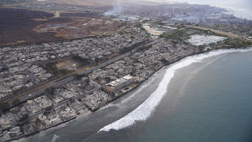 Maui wildfire