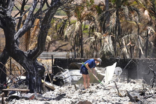 Maui wildfire