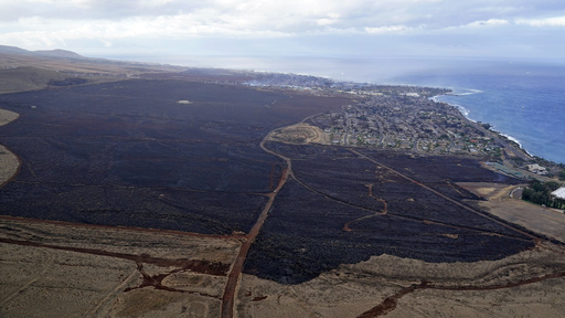 Maui wildfire