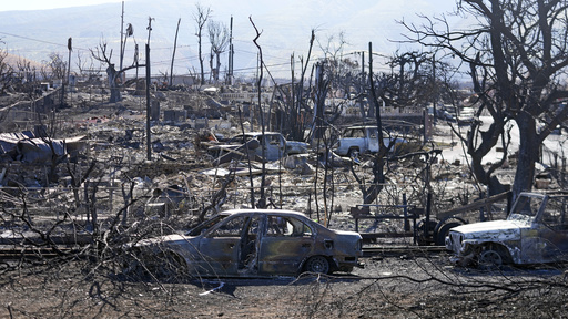 Maui wildfire