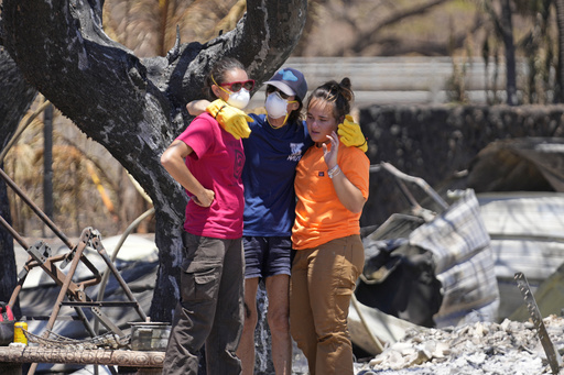 Maui wildfire