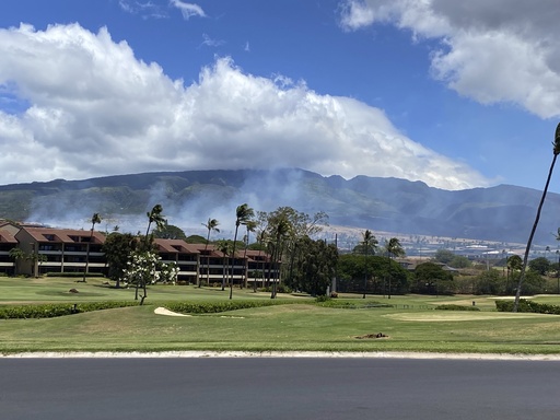 Firefighters douse Maui brush fire 