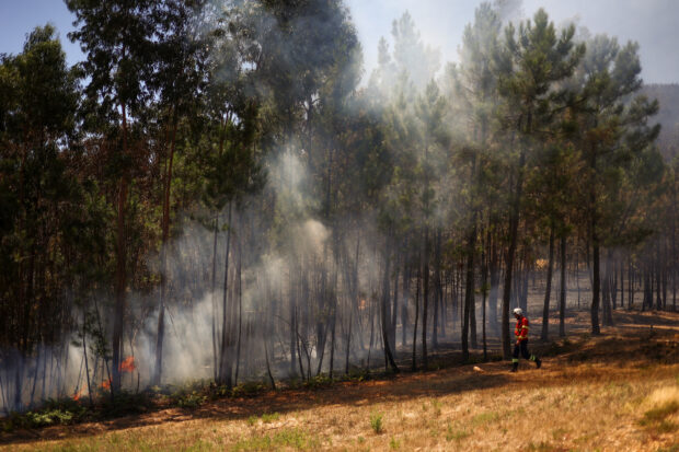 Portugal wildfire rages
