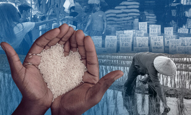 Composite image of palms with rice grains, a farmer planting rice, and a store selling rice.
